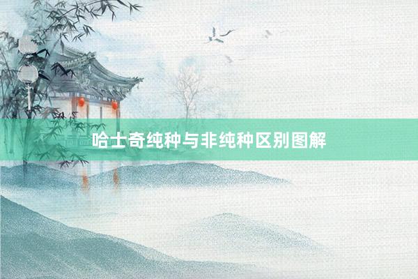 哈士奇纯种与非纯种区别图解