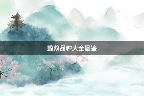 鹦鹉品种大全图鉴