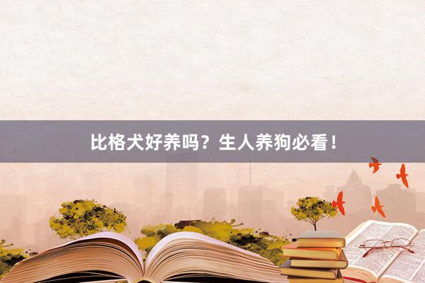 比格犬好养吗?生人养狗必看!