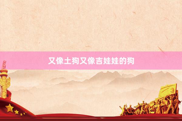 又像土狗又像吉娃娃的狗